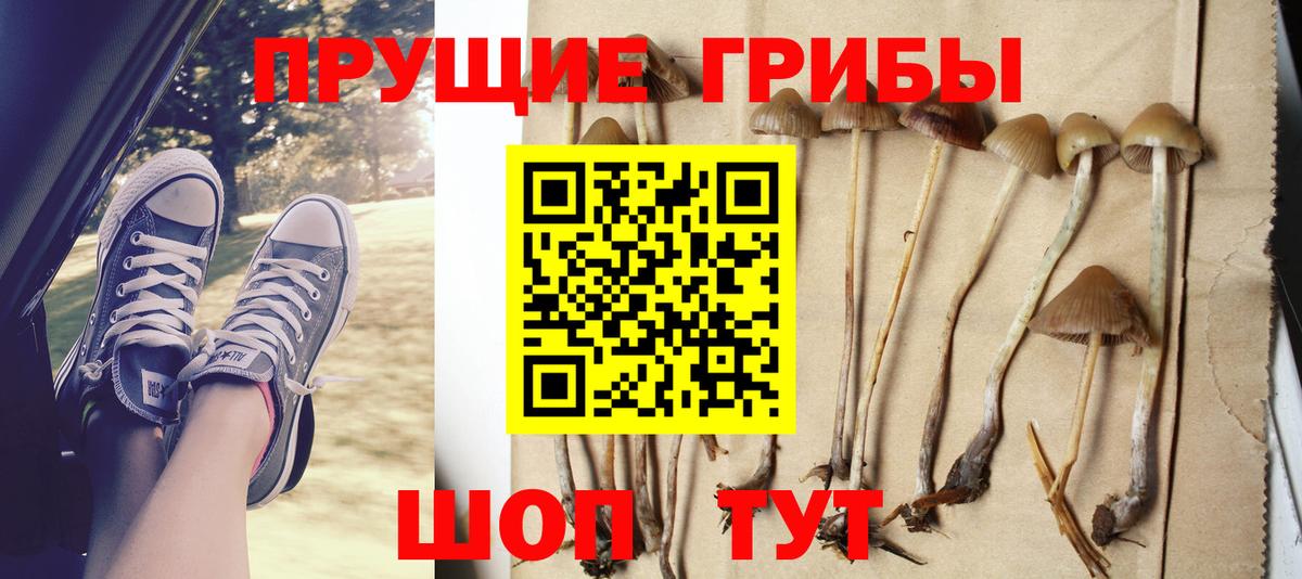 Галлюциногенные грибы мухоморы Кизилюрт